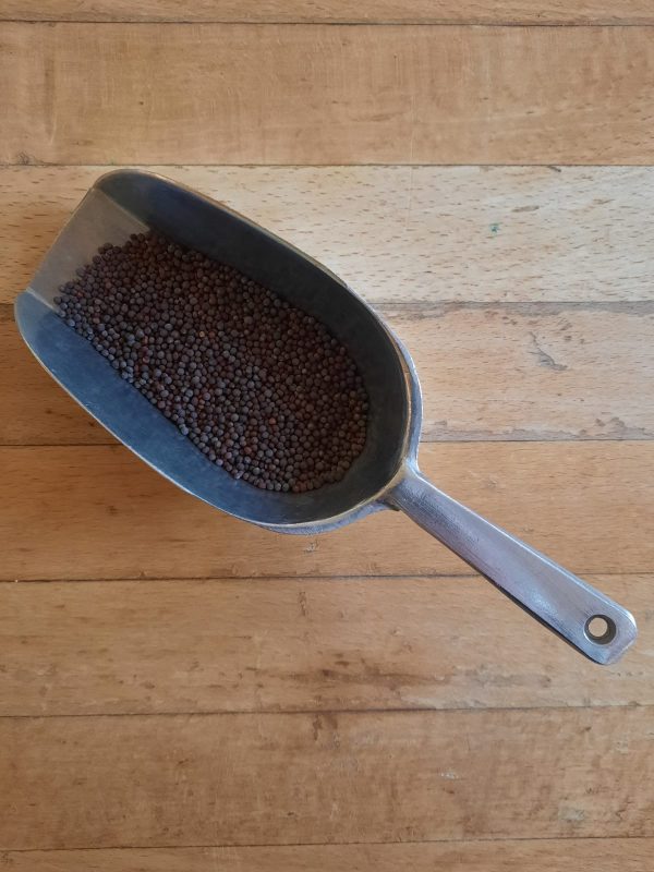 Mustard seeds- brown ORG - 50g