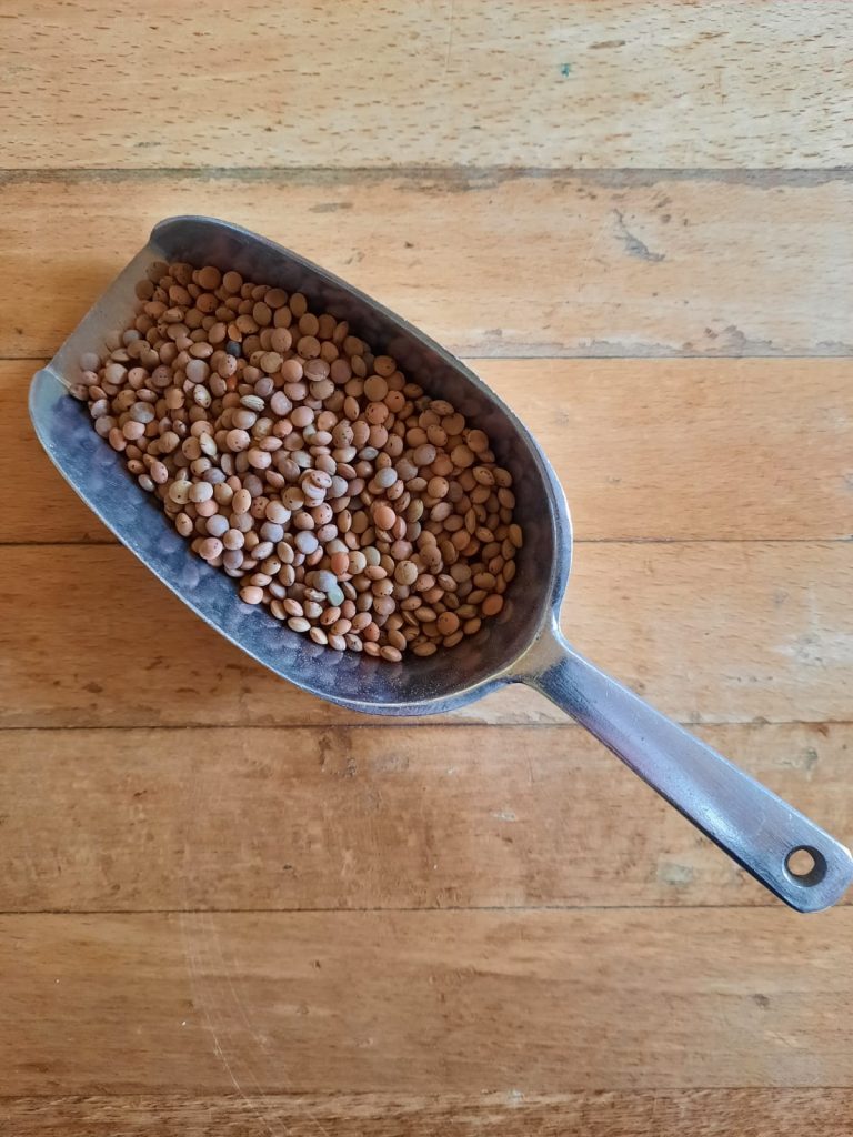 Lentils - Brown ORG - 500g