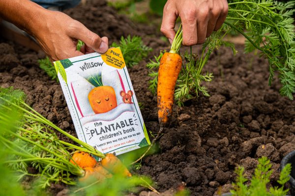 The Carrot Who Was Too Big For His Bed Children's Book