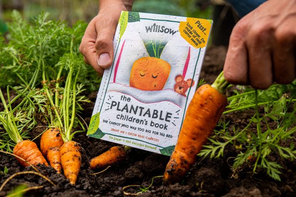 The Carrot Who Was Too Big For His Bed Children's Book