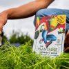 The Dill Who Foiled The Soil Snatchers Seed Book - Image 4