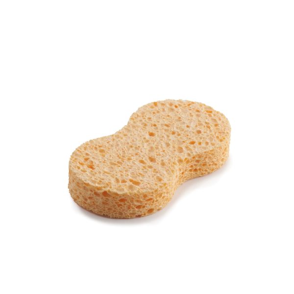Compostable car sponge without packaging