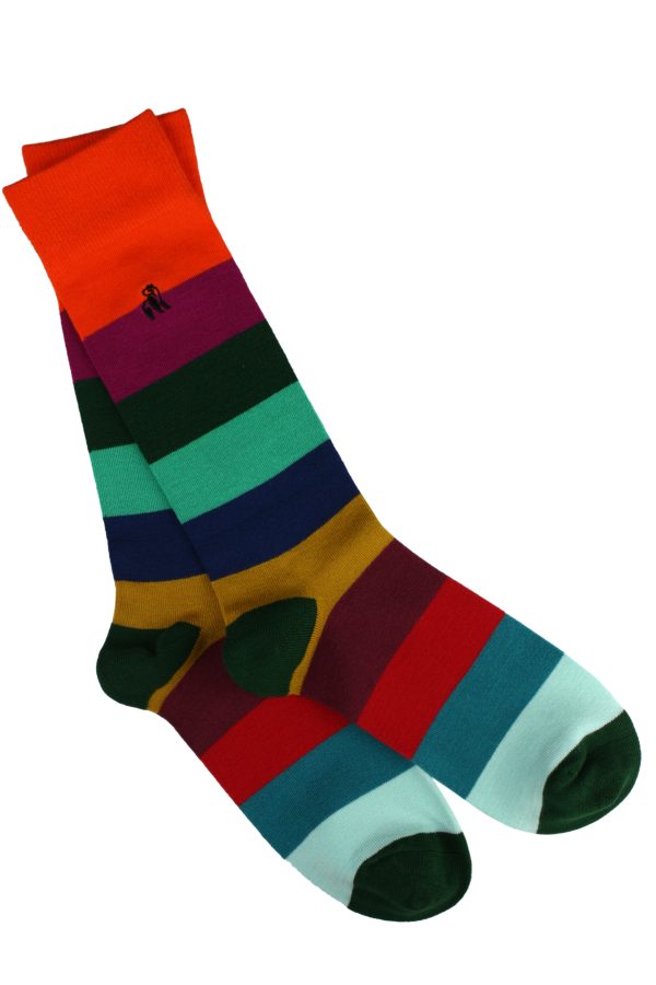 Swole Panda Multi Coloured Block Striped Socks