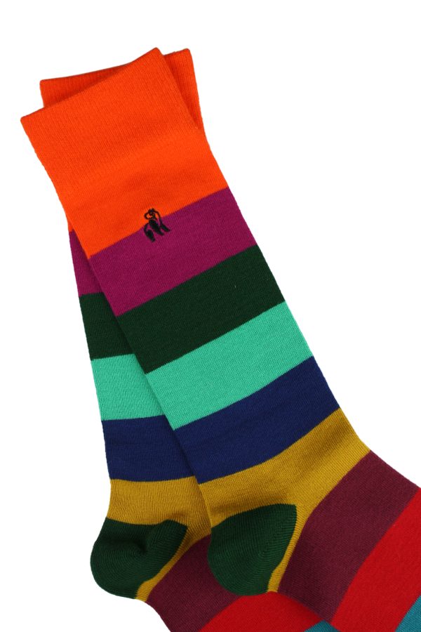 Swole Panda Multi Coloured Block Striped Socks