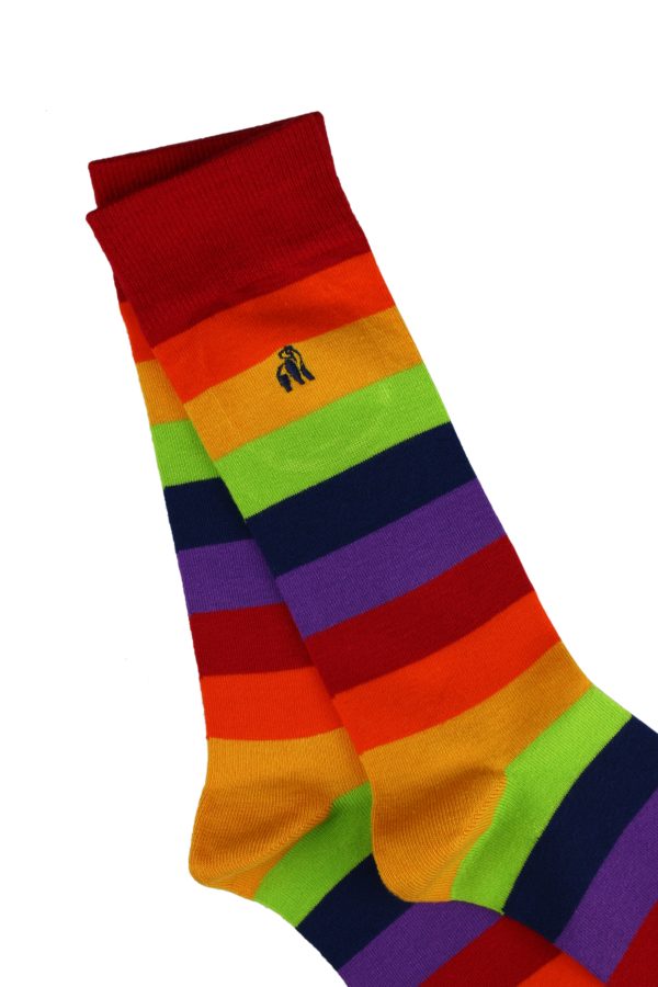 Swole Panda Pride Striped Socks