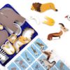 Savannah_Animals