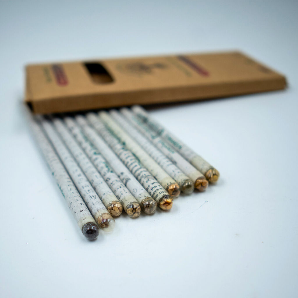 Newspaper Colour Pencils (Pack of 10) | Zero Green Bristol