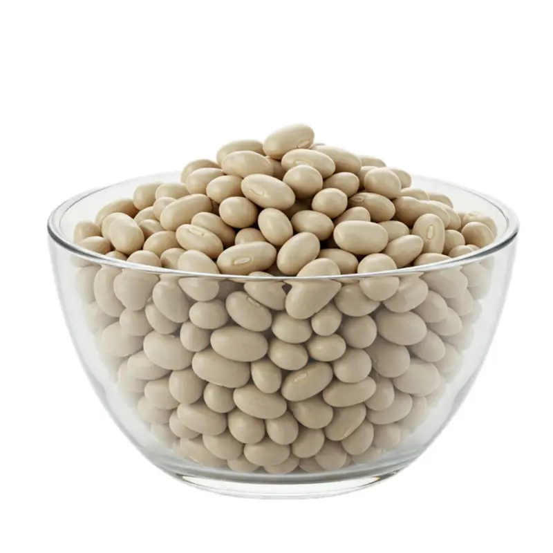 Haricot Beans | Zero Green Bristol